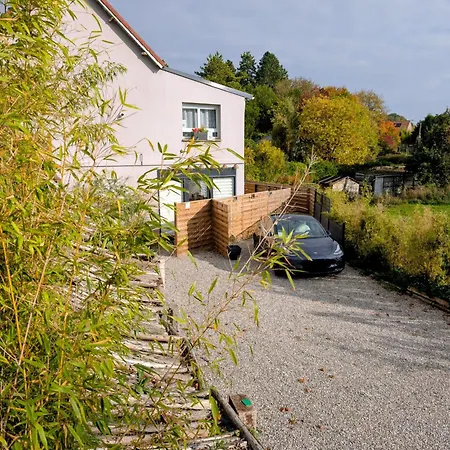 La Whiteroom De L'artois